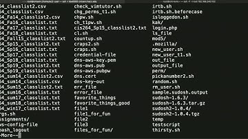 Shell Scripting 101: Why write scripts?