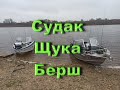 Рыбалка на Оке осень 2019.