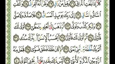 075 سورة القيامة شيرزاد عبد الرحمن طاهر