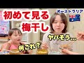 【人生初】日本の梅干を初めて食べる海外育ちの子供たちの反応がヤバかった!オーストラリア家族