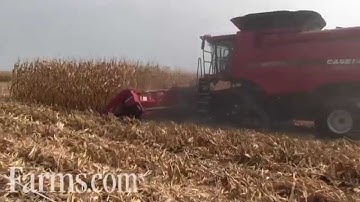 Case IH  Tracked Combine Harvesting Corn in The Farm Progress Show Field Demo
