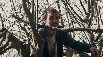 Jaké jsou odrůdy jabloní?