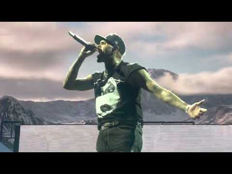 Chris Brown Performing