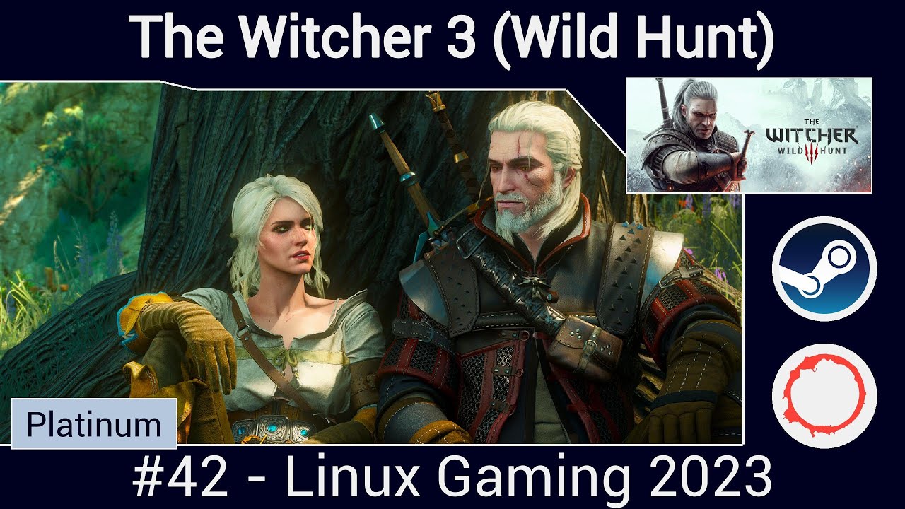 🗡 The Witcher 3 (Wild Hunt) 🛡  - 2023 Linux Gaming (#42)