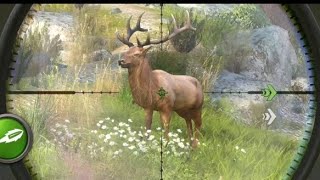 20 Shots in 20 Minutes!  2024 (ULTIMATE Bowhunting Compilation)