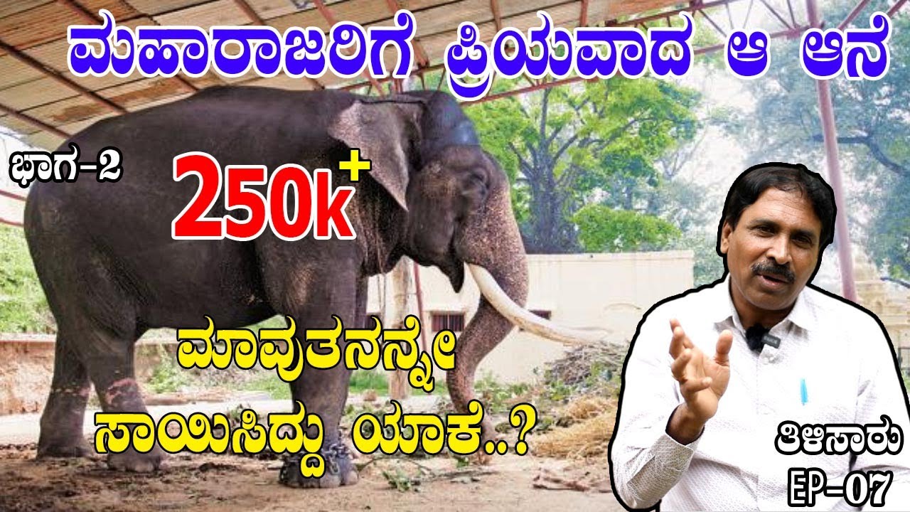 EP-860 | ಮಹಾರಾಜರಿಗೆ ಪ್ರಿಯವಾದ ಆನೆ | rj sunil audio | rj sunil colour kaage | ane doctor rj sunil