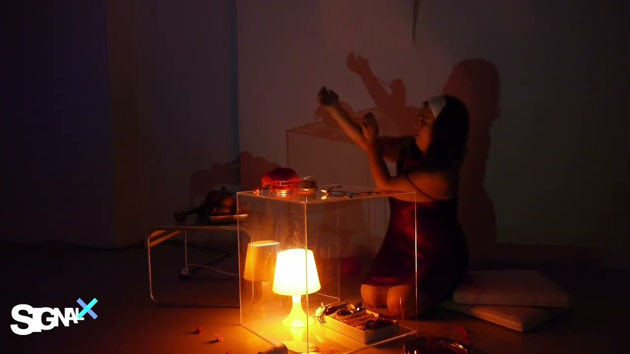 T.S.P. – Installation and Theatrical Performance