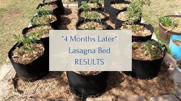 Lasagna Bed Results