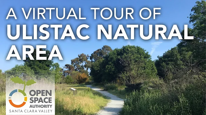 A Virtual Exploration of Ulistac Natural Area