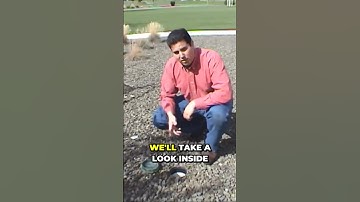 Uncovering the Secrets of Your Septic Drain Field That You Didn