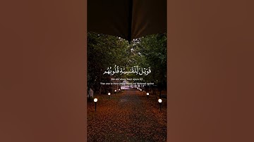 سورة الزمر / القارئ : ماهر المعيقلي #القران #راحة_نفسية #اكسبلور #دويتو #ماهرالمعيقلي #لايك #قران