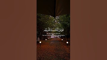 سورة الزمر / القارئ : ماهر المعيقلي #القران #راحة_نفسية #اكسبلور #دويتو #ماهرالمعيقلي #لايك #قران