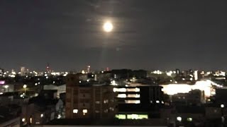 FuLL Moon in Nagoya and Sushi Restaurant in Japan