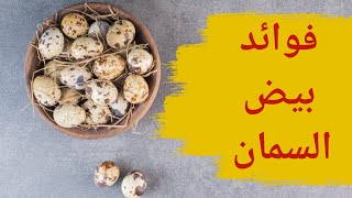 فوائد بيض السمان - 8 فوائد مذهله لبيض السمان- رغم صغر حجمه بيض السمان فوائد لا تحصى