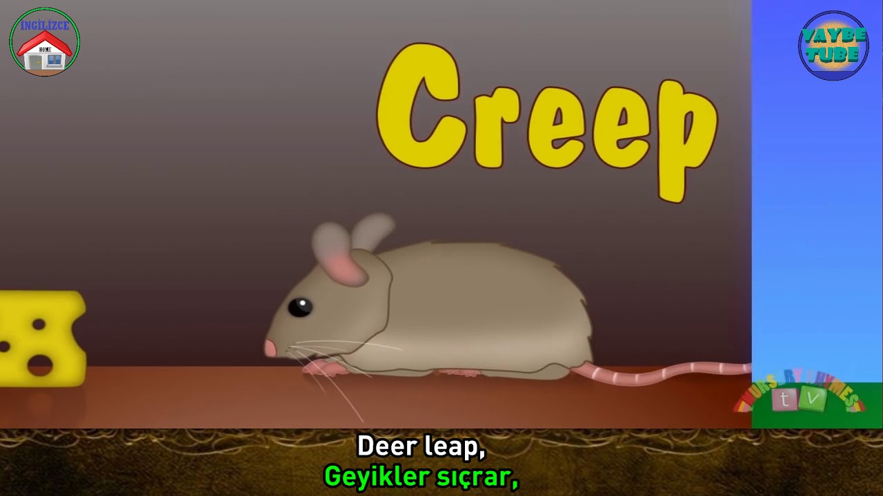 Jump or Jiggle  (Türkçe ve İngilizce Altyazılarıyla)