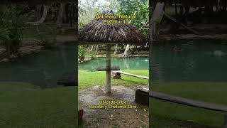 balneario natural el chorrito entre Huay-pix Y Xul-Ha Quintana Roo #laguna #chorrito #bacalar