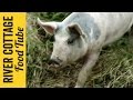 Keeping Pigs - Part 1 | Hugh Fearnley-Whittingstall