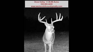  /-36.96 acres w elec & easy access #westernhillcountryrealty #landforsale   28 Dove Valley