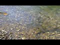 【流れる音色】ローファイ・リバーサウンド