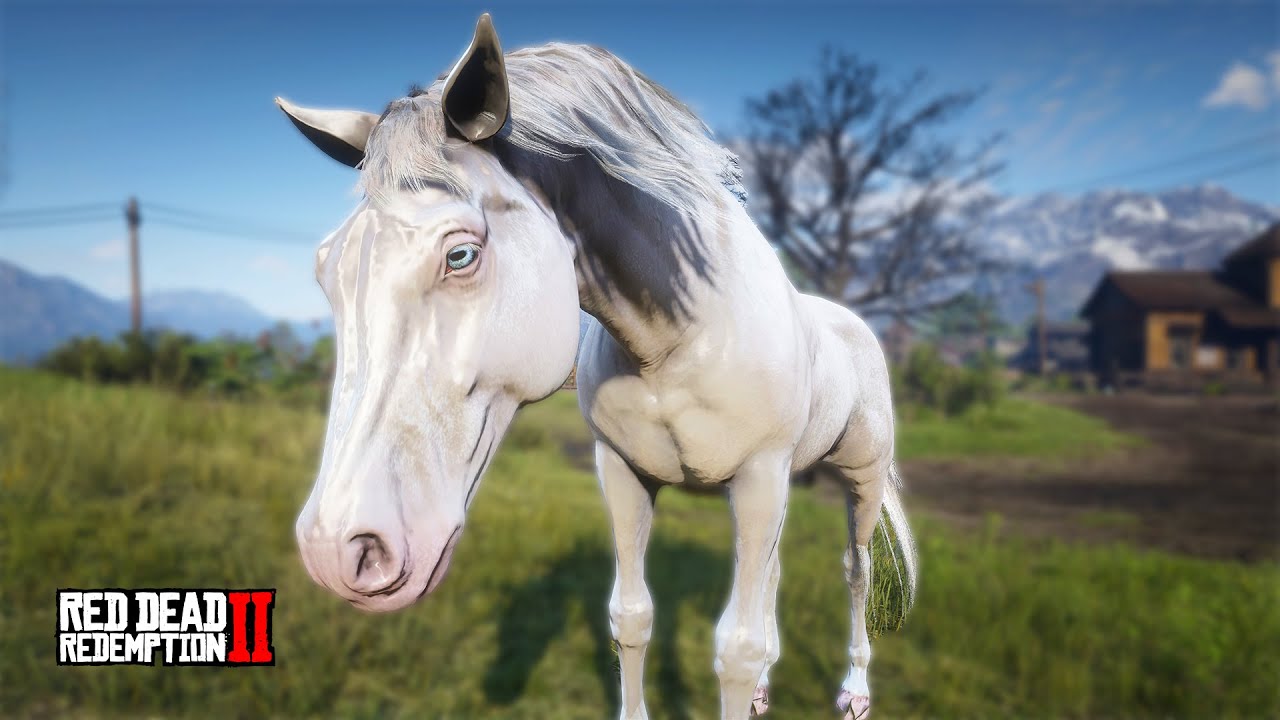 Playing as a Horse in Red Dead Redemption 2 | RDR2 - YouTube
