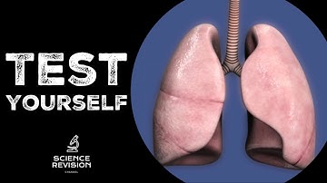 GCSE Science Biology (9-1) - Lungs and Gas Exchange - Test Yourself