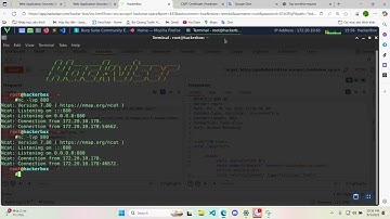 Hackviser : Command Injection via User-Agent Log Entries Lap