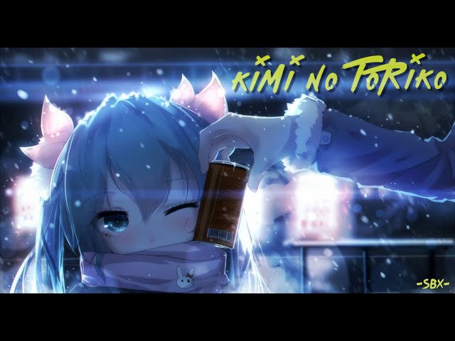 Kimi No Toriko - Rizky Ayuba (Cuter DJ Version) class=