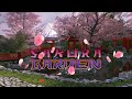 Sakura garden 3d screensaver