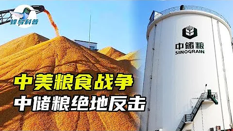 中储粮有多牛？国际四大粮商勾结，做空中国，却被一举击溃 - 天天要闻