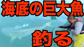 【怪物】広島の海底に棲む巨大魚を釣り上げた【お魚天国】