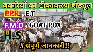 बकरियों के टीकाकरण का शेड्यूल/Goat Vaccination Schedule/ Goatvaccination goatfarming farming
