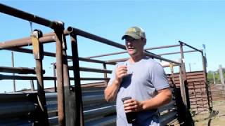 NDSA 2020 Virtual Feedlot Tour
