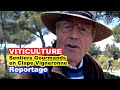 Ref:fpM0IaU7A5M Viticulture : 10�me sentiers gourmands en clape vigneronne (le reportage)