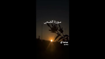 القرآن الكريم سورة الضحى #viralvideo #fypシ #cupcut #islam #القرآن_الكريم #أدعية_مستجابة