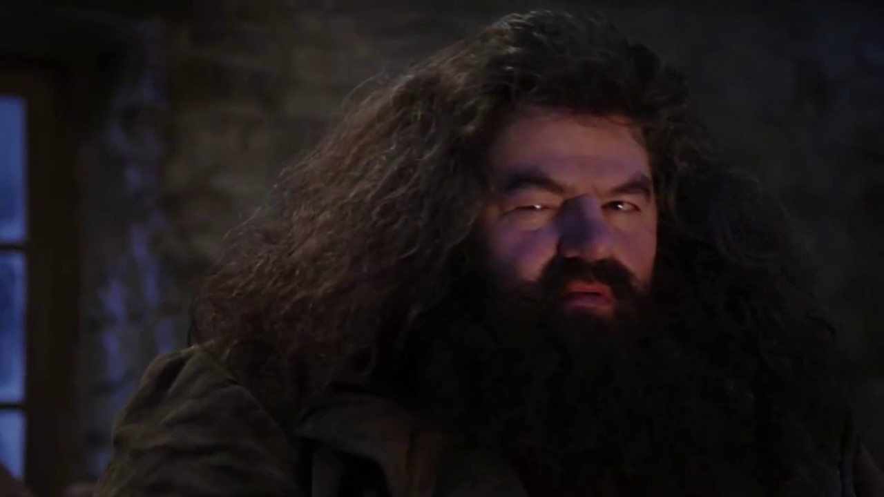 Harry's Mother Was a Dumb Whore With A Fat Arse