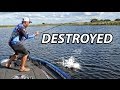 Big Bass Crushes Swimbait - Most in-depth how to video on swimbaits for bass fishing