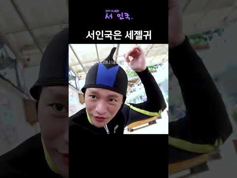 잉국 상어 뚜루루뚜루 #shorts