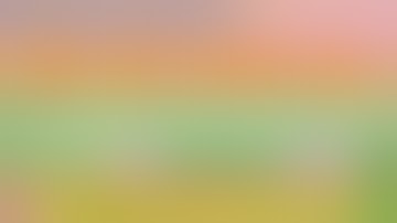 TÔN CHỈ HÀNH ĐẠO Của ĐỨC HUỲNH GIÁO CHỦ