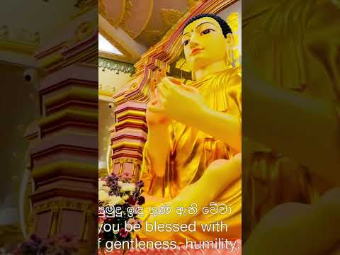 නිවන දහම අවබෝධ ය වේවා 🙏