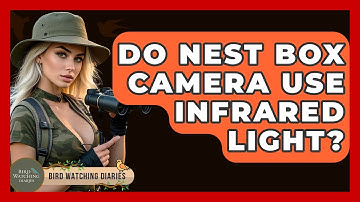 Do Nest Box Camera Use Infrared Light? - Bird Watching Diaries