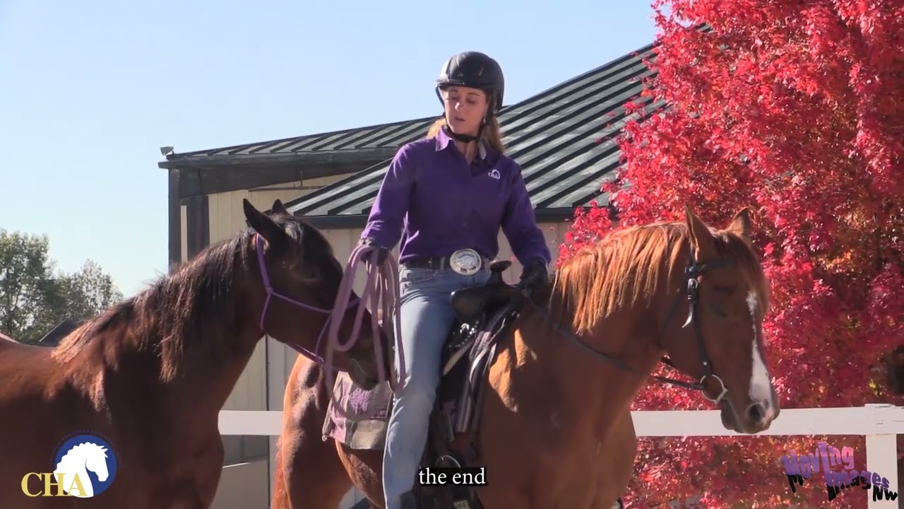 How to Safely Pony a Horse with Teresa Kackart