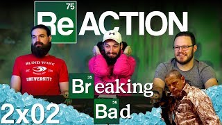 Breaking Bad 2x2 REACTION!! 