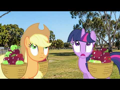 Important Update on the Horses Situation