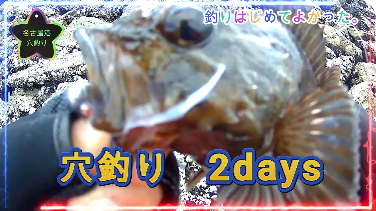 名古屋港穴釣り2days　2026/1/31　2/1⑭