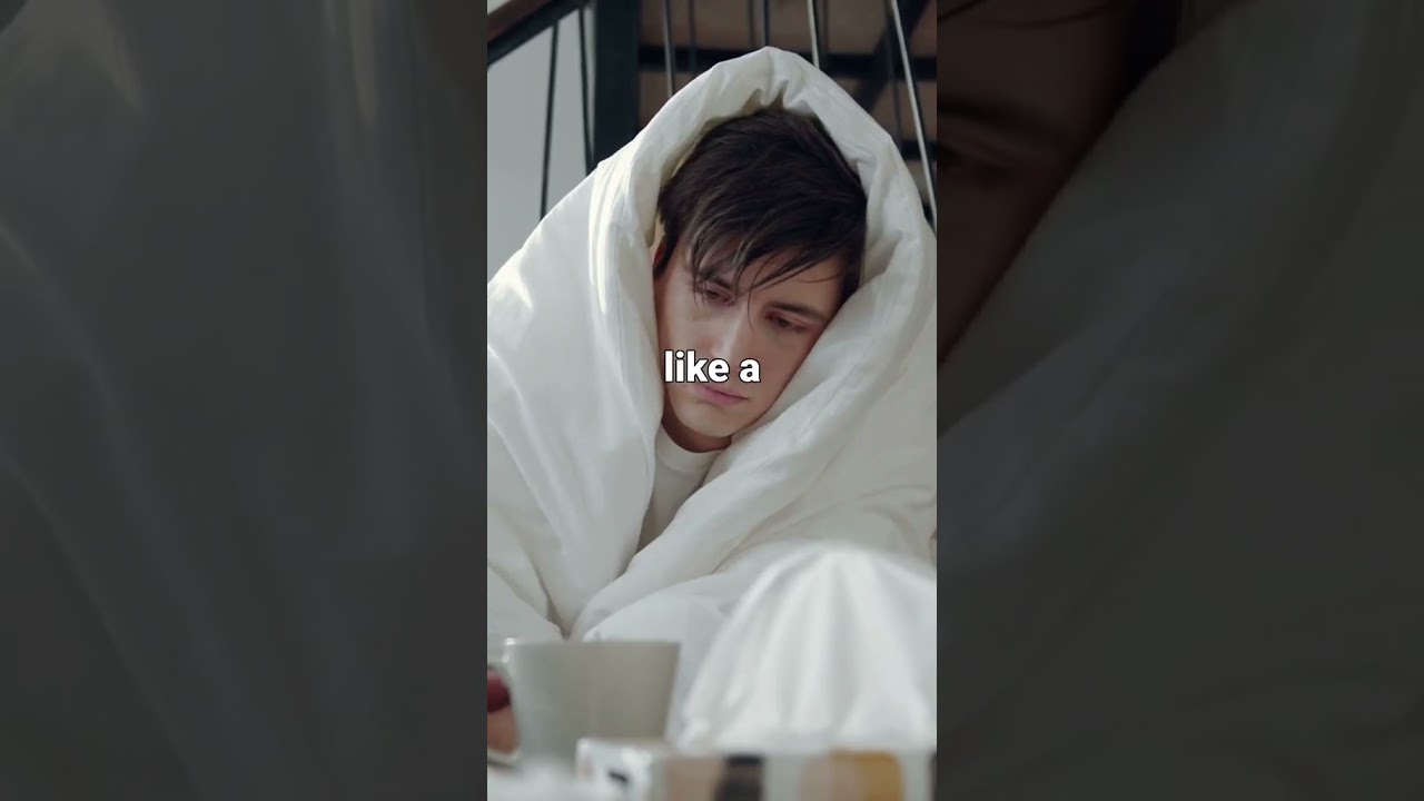 What is a cedar tree?