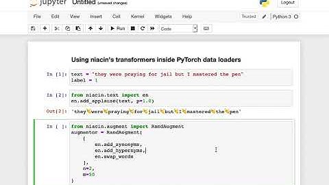 Text data augmentation with PyTorch datasets