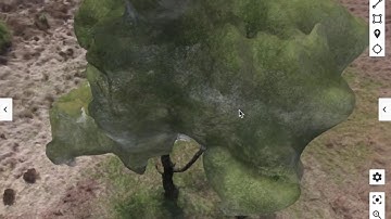 3D model of a tree using a drone