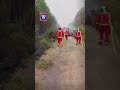 Api hutan 'mengganas': 260,000 penduduk terpaksa berpindah
