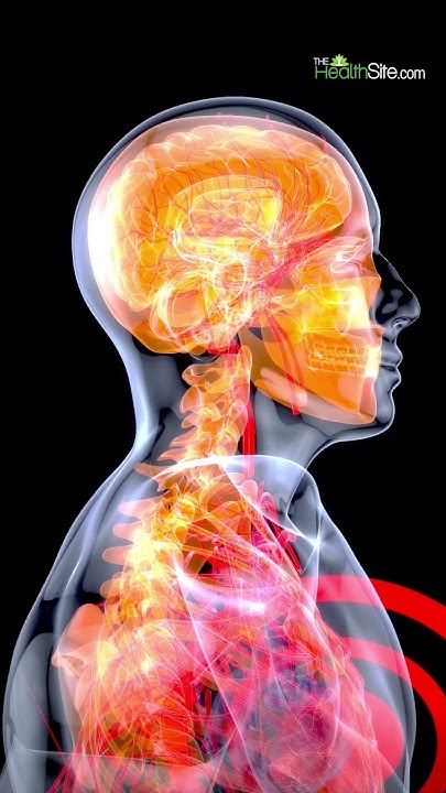 red-meat-side-effects-red-meat