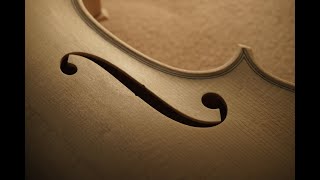 新作ホワイト・ヴァイオリン【Violin before Varnish】